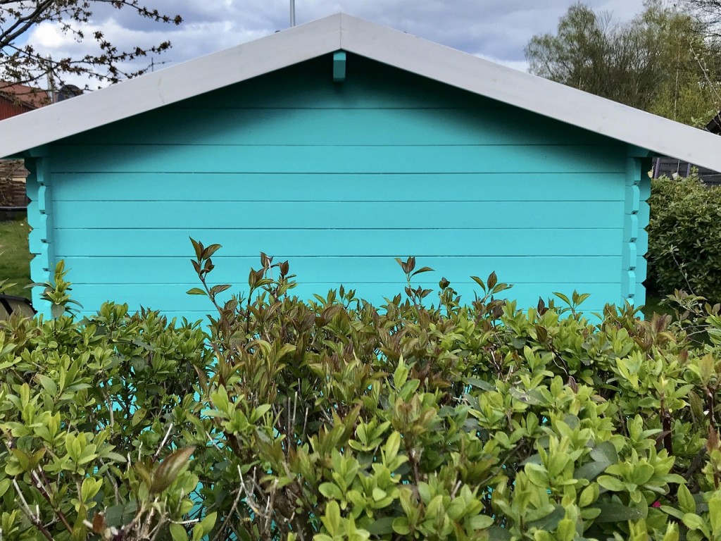 Invasive Pflanzen, Unionsliste, Liste verbotener Pflanzen, Riesenbärenklau, Sommerflieder, Kirschlorbeer, Götterbaum, welche gesundheitliche Schäden durch invasive Pflanzen, Kennzeichen invasiver Arten garden-shed-5053970_1280_Mona El Falaky auf Pixabay