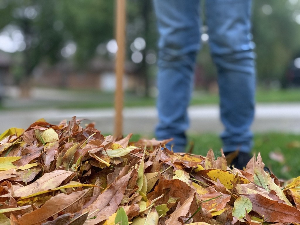 Garten winterfest machen, Rückschnitt im Herbst, Gartenmöbel winterfest machen, Gartengeräte nach der SaisonKübelpflanzen überwintern, Rasen düngen im Herbst, Schädlingskontrolle vor dem Winterquartier, Laub im Herbst Foto: Liz W auf Pixabay