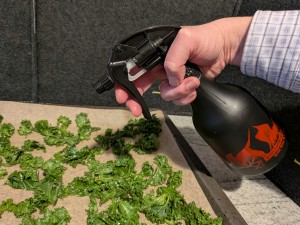 Gemüse-Chips selber machen, Gemüsechips selbst machen, Blattkohl-Chips, Grünkohlchips, Palmkohlchips, knusprige Chips aus dem Airfryer, Heißluftfritteuse Rezept, Heißluftbackofen Gemüsechips Grünkohlchips-Foto-Schonschek-2_1200