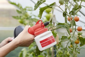 Urgesteinsmehl, Urgesteinsmehl Garten, Gesteinsmehl, Urgesteinsmehl Anwendung, Urgesteinsmehl Wirkung, Lavamehl Garten, Urgesteinsmehl gegen Schnecken, Urgesteinsmehl kaufen, Boden pH-Wert bestimmen, Pulverzerstäuber für Gesteinsmehl, Diabas Gesteinsmehl Bobby 0.5_Tomaten_FB