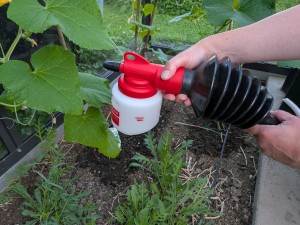 Urgesteinsmehl, Urgesteinsmehl Garten, Gesteinsmehl, Urgesteinsmehl Anwendung, Urgesteinsmehl Wirkung, Lavamehl Garten, Urgesteinsmehl gegen Schnecken, Urgesteinsmehl kaufen, Boden pH-Wert bestimmen, Pulverzerstäuber für Gesteinsmehl, Diabas Gesteinsmehl