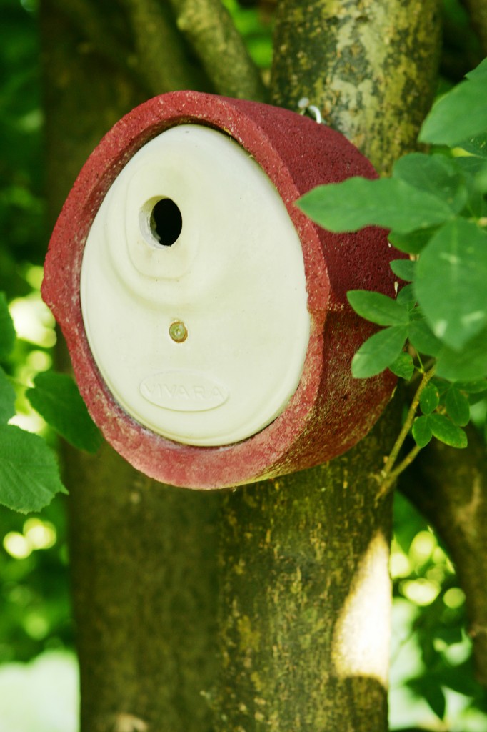 Holzbetonkasten