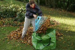 Kompost- und Gartensäcke fassen mehr Laub als eine Schubkarre, werden dann aber so schwer, sodass man sie per Schubkarre zum Kompost fährt.