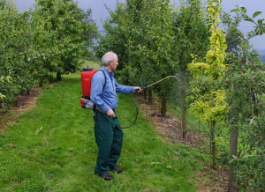 Anw. Obstbäume_3_Rot_1200