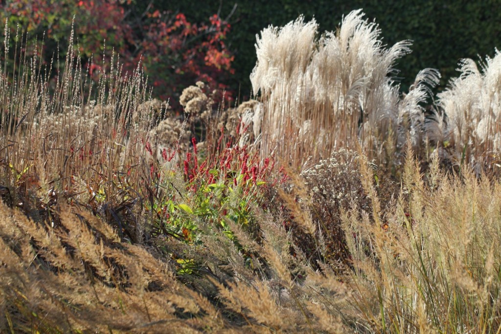 Gräsergarten_1200