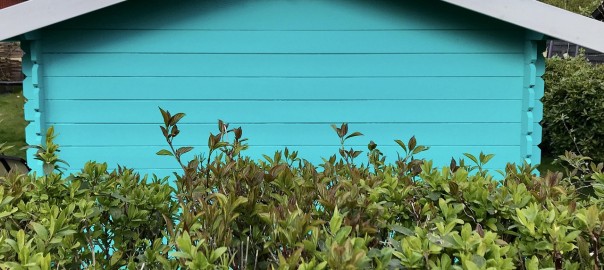 garden-shed-5053970_1280_Mona El Falaky auf Pixabay