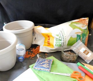 DIY-Drainagekissen-Foto-Schonschek (1)