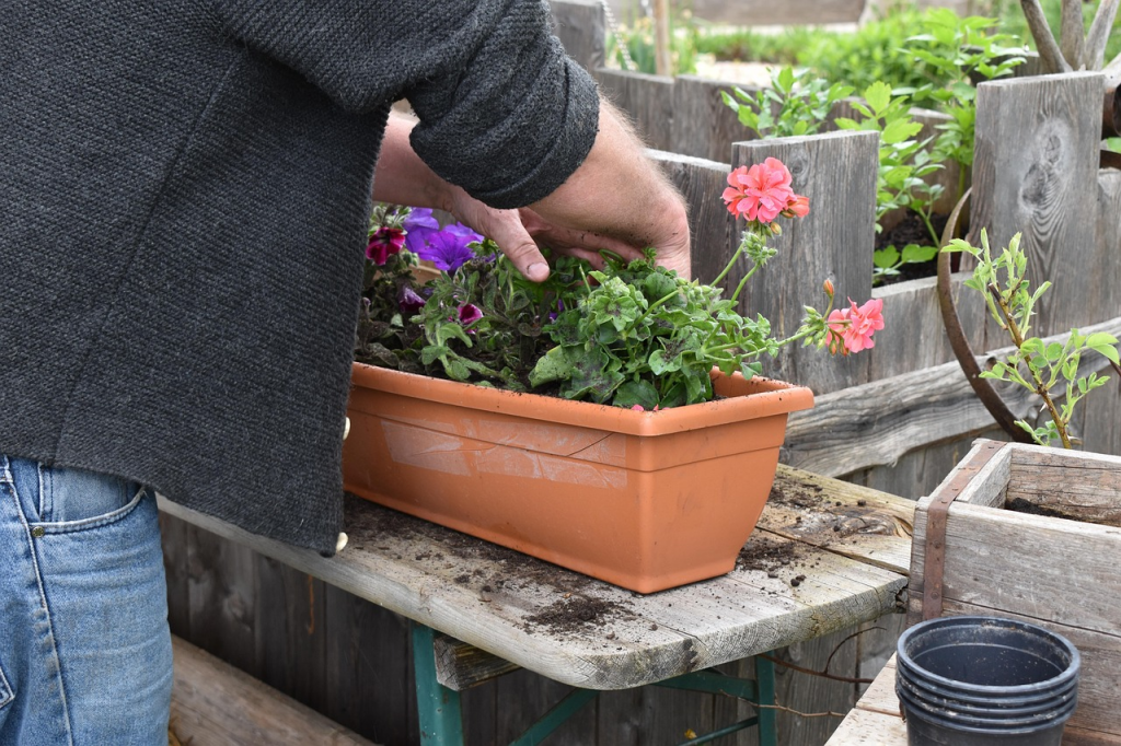 Tipps f�r das G�rtnern mit torffreier Erde