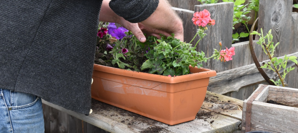 flower-box-6282850_1280_Bild von JuttaKuehl auf Pixabay