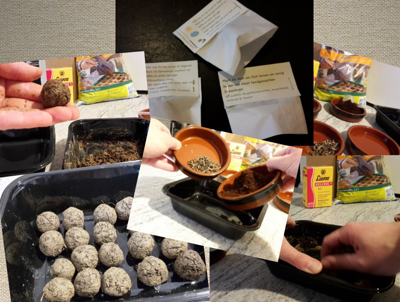 DIY: Saatb�nder, Saatscheiben & Samenkugeln selber machen