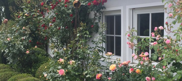 IMG_4875_Lachner Rosengarten