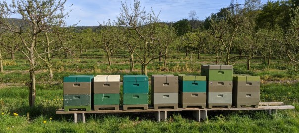 Magazinbeuten-Foto-Schonschek (1a)_1200